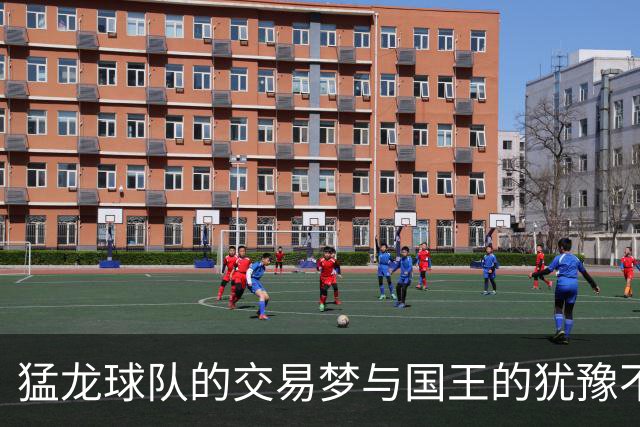 猛龙球队的交易梦与国王的犹豫不决